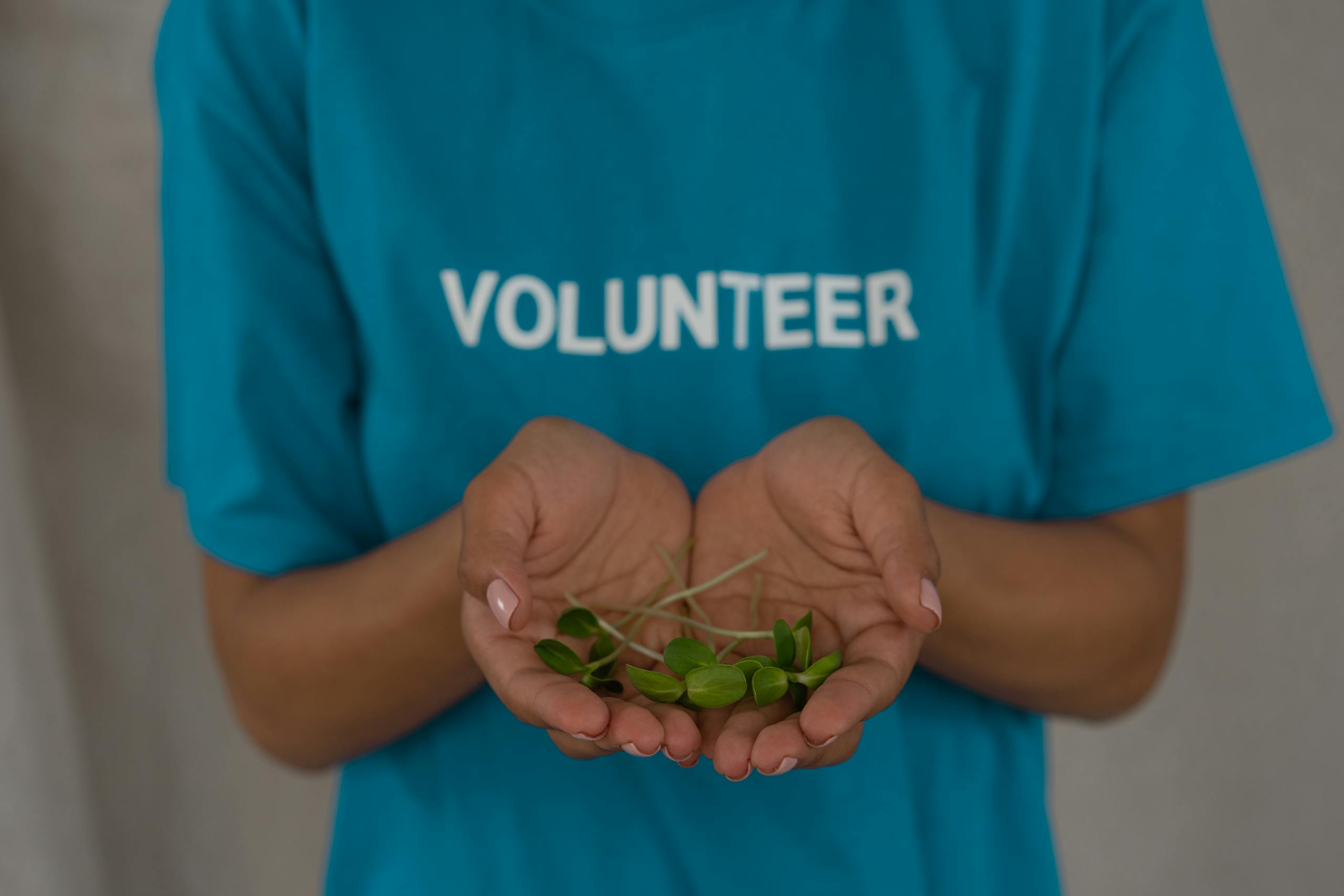 A volunteer in a blue shirt holds green seedlings, symbolizing environmental conservation.